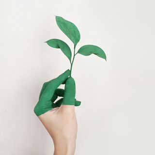 hand, plant, sustainability