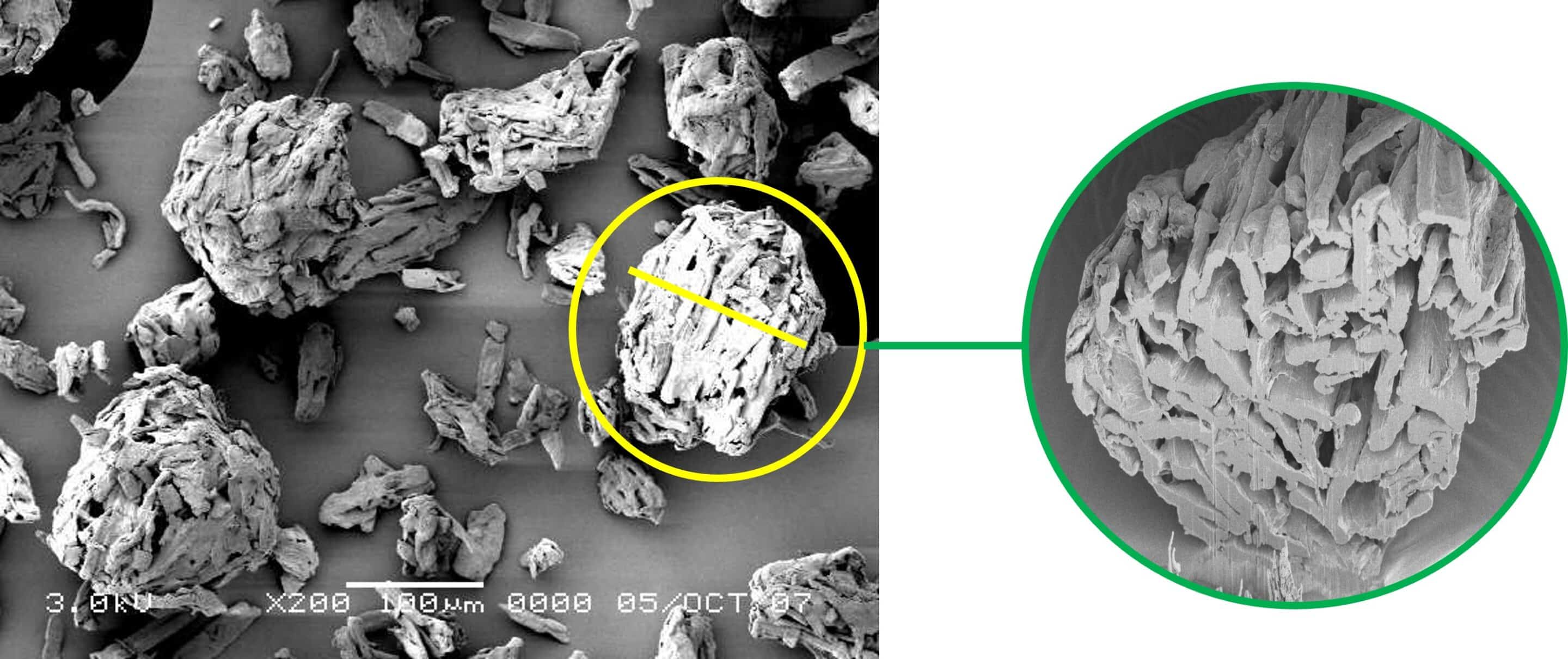 Image of Ceolus UF 702 particle and Cross section scaled Asahi Kasei
