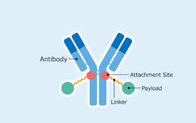 Asahi Kasei Life Science Acquires License for Novel Antibody-Drug Conjugate Technology from The Noguchi Institute – A Major Milestone for More Efficient and Safer Cancer Treatments